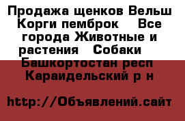 Продажа щенков Вельш Корги пемброк  - Все города Животные и растения » Собаки   . Башкортостан респ.,Караидельский р-н